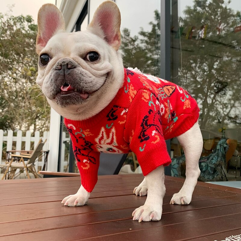 Thick Warm Winter Dog Sweater Soft Red New Year Rabbit Pet Cats