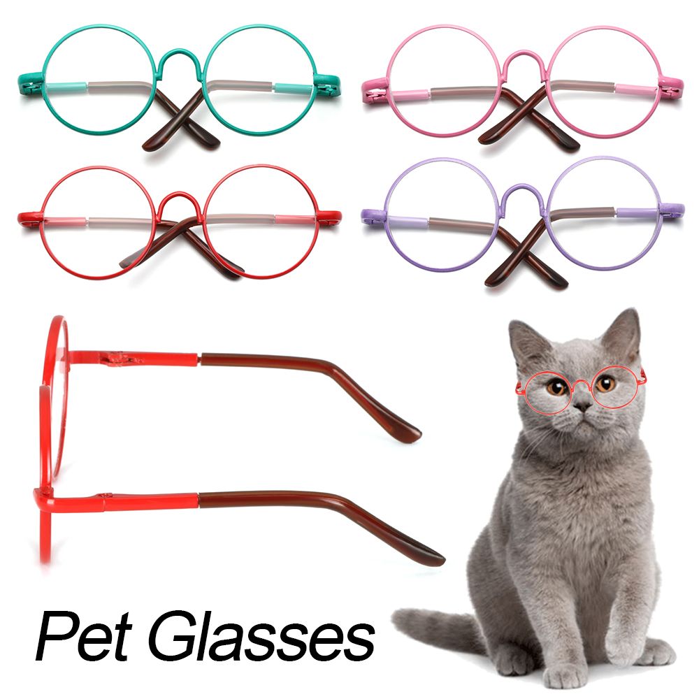 Trend Pet Accessories Cat Dog Grooming Pet Glasses Figure Toy Photos