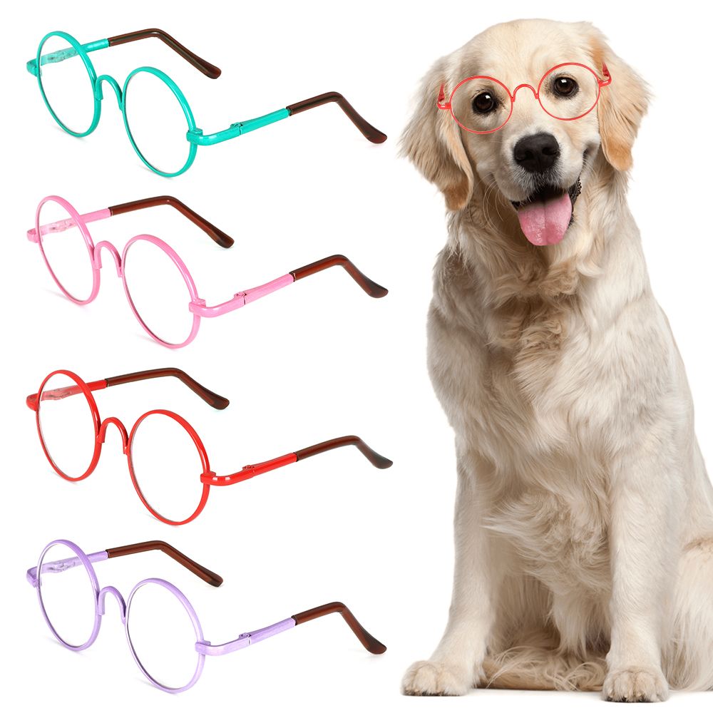 Trend Pet Accessories Cat Dog Grooming Pet Glasses Figure Toy Photos