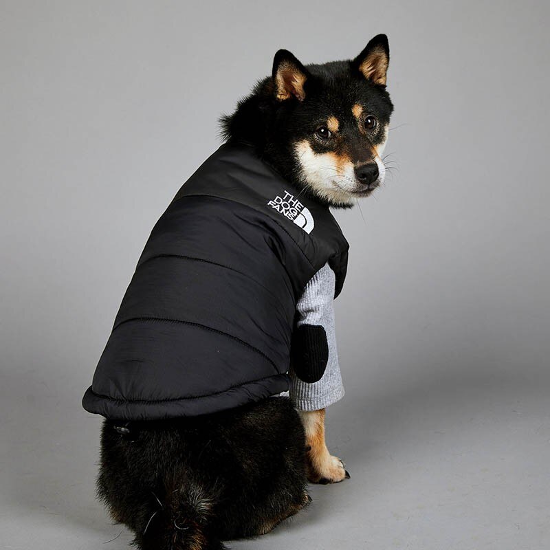 Winter Dog Coat Fashion Designer Pet Dog Clothes Cotton Jacket For