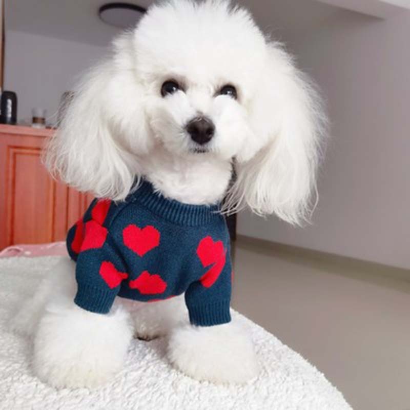 Winter Pet Clothes Dog Cat Sweater Puppy Clothes Schnauzer Knitted Dog