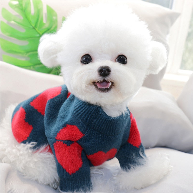 Winter Pet Clothes Dog Cat Sweater Puppy Clothes Schnauzer Knitted Dog