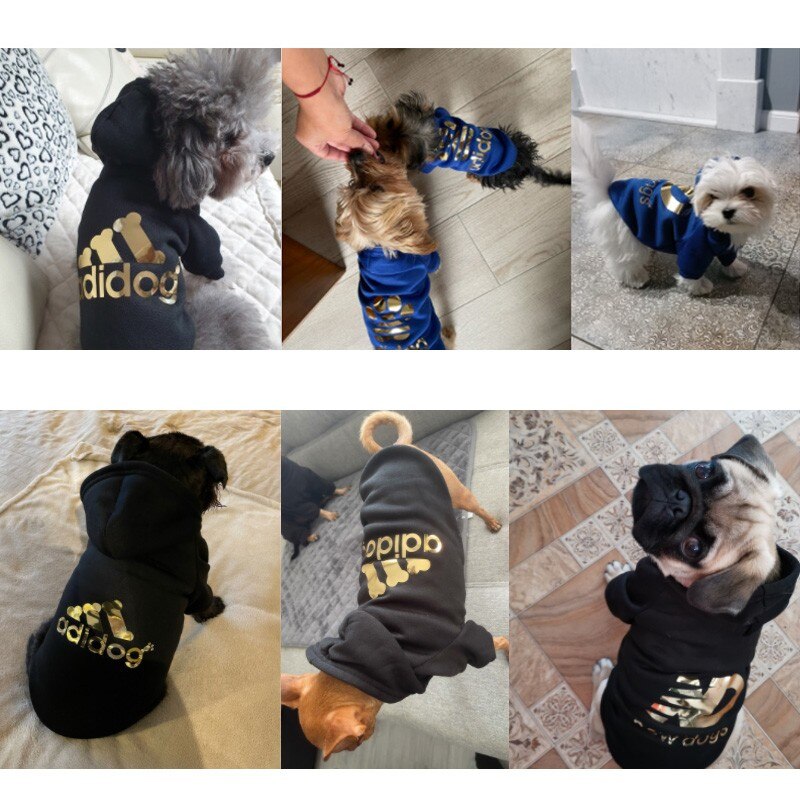 Winter Pet Dog Clothes Fashion Designer Dog Hoodie Bronzing Sweatshirt