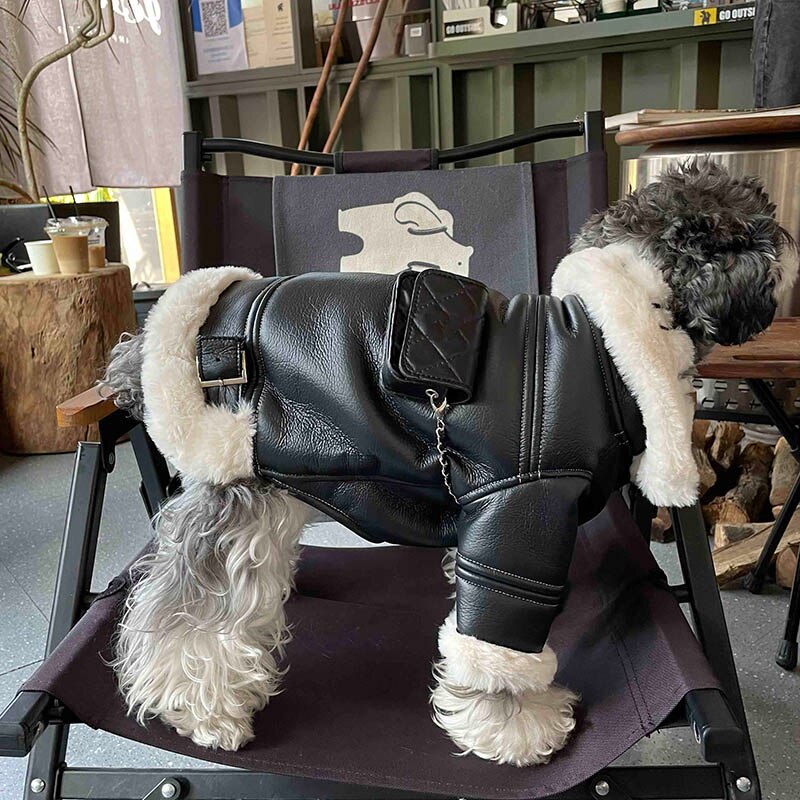 Winter Pet Dog Clothes Luxurious Dogs Coat Jacket Fashion Leather