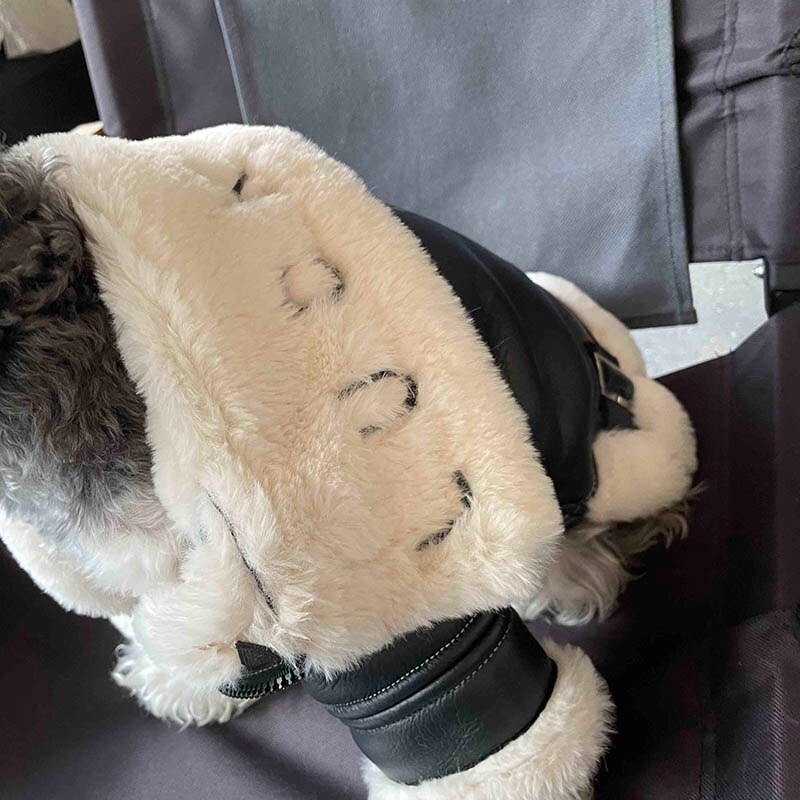 Winter Pet Dog Clothes Luxurious Dogs Coat Jacket Fashion Leather