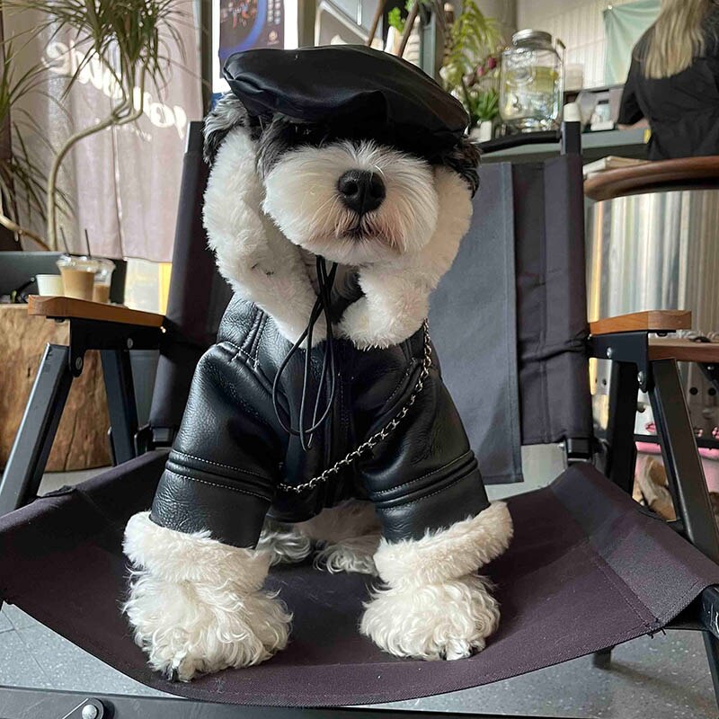 Winter Pet Dog Clothes Luxurious Dogs Coat Jacket Fashion Leather